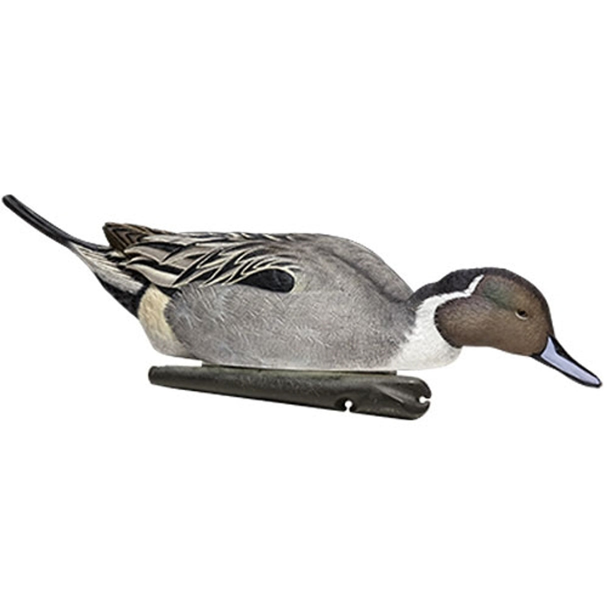 Avian-X Pintail Decoys 6 Pack