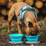 Colapz Collapsible Twin Dog Bowls