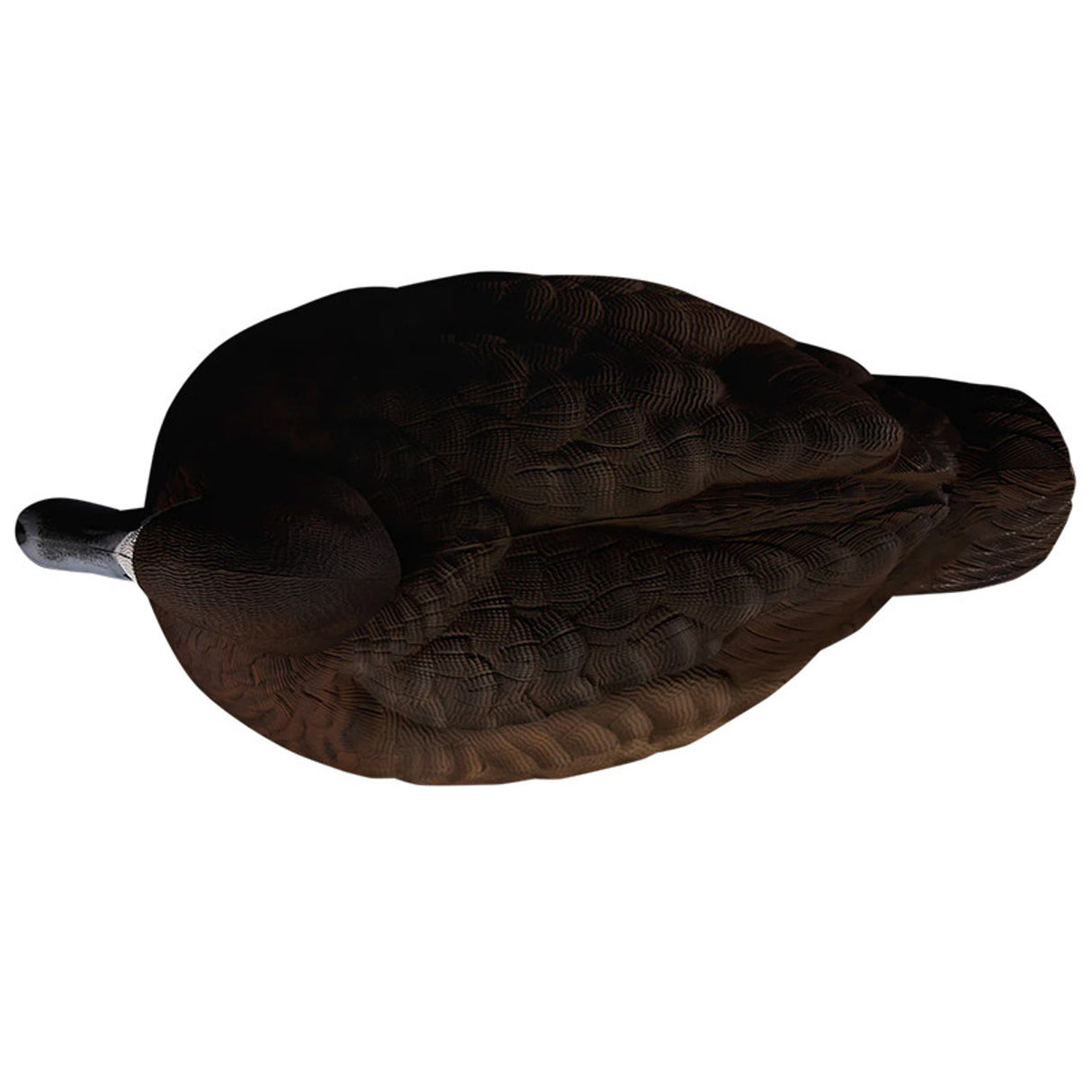 Heyday HydroFoam Bluebills Duck Decoys - 6 Pack