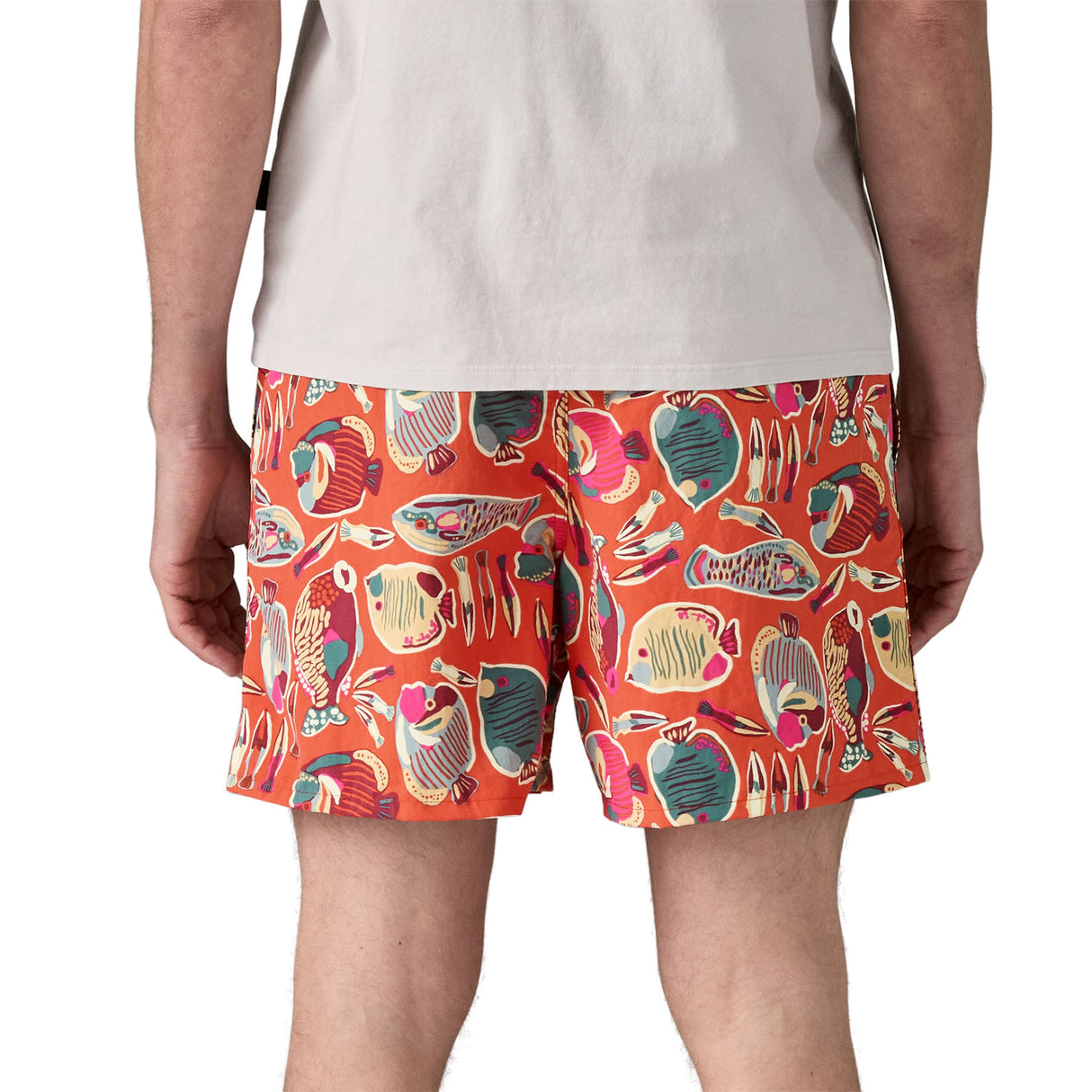 Patagonia Men's Baggies Shorts - 5" - Past Season