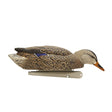 Avian-X Backwater Mallard Decoys 6 Pack