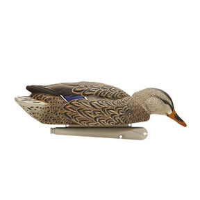 Avian-X Backwater Mallard Decoys 6 Pack