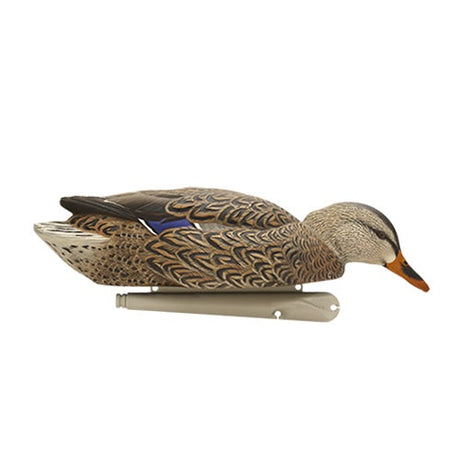 Avian-X Backwater Mallard Decoys 6 Pack