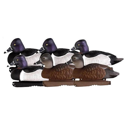 GHG Pro-Grade Ring-Necked Ducks 6 Pack