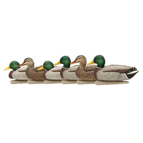 Avian-X Floating Mallard Decoys Open Water 6 Pack