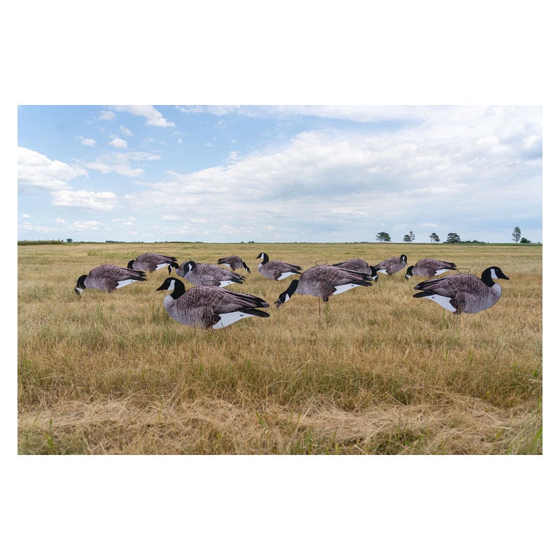 GHG Pro-Grade Silhouette Canada Goose Decoys