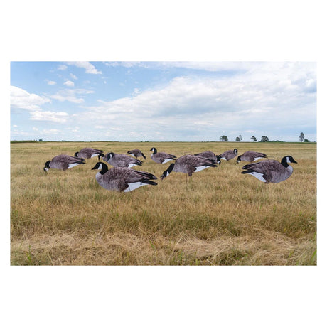 GHG Pro-Grade Silhouette Canada Goose Decoys