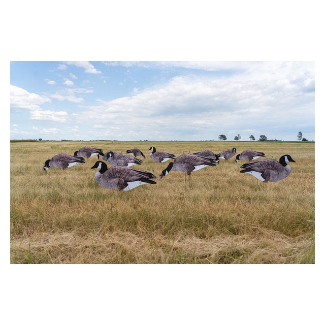 GHG Pro-Grade Silhouette Canada Goose Decoys