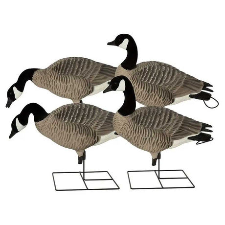 Avery Outdoors Pro Grade XD Canada Harvester 4 Pack of Honker Decoys