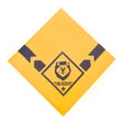 Boy Scout Cub Scout Lion Rank Neckerchief